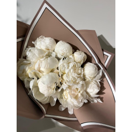 Peonies Love