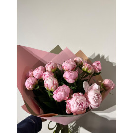 ŞAKAYIK (PEONY)