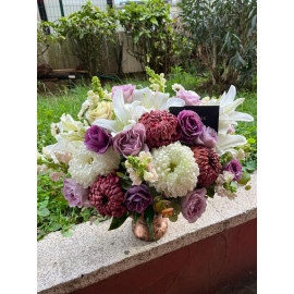 ANASTASIA ARRANGEMENT