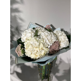 BEYAZ ORTANCA (WHITE HYDRANGEA)