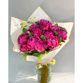 Fuchsia Peony