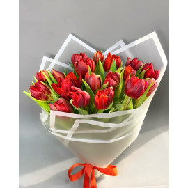 RED TULIPS