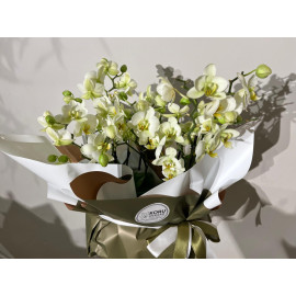 WHITE ORCHIDS ARRANGEMENT